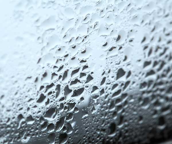 Your HVAC system should have dehumidifying capabilities to help control moisture throughout your home..