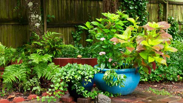 Hiding condensers with large, moveable potted plants is a good option for homeowners.
